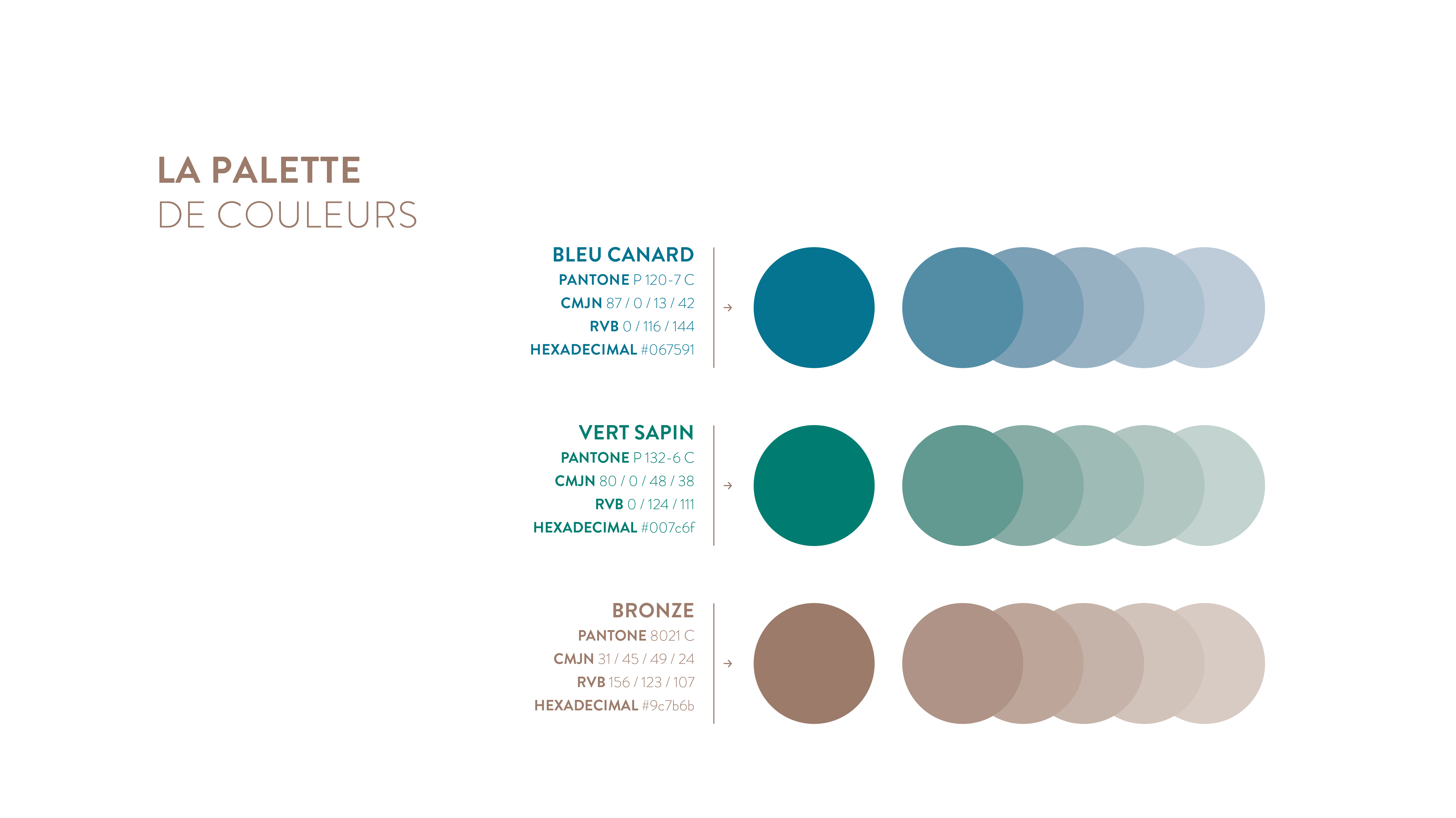 Amandine Delion - Création de logotype, charte graphique et cartes de visite