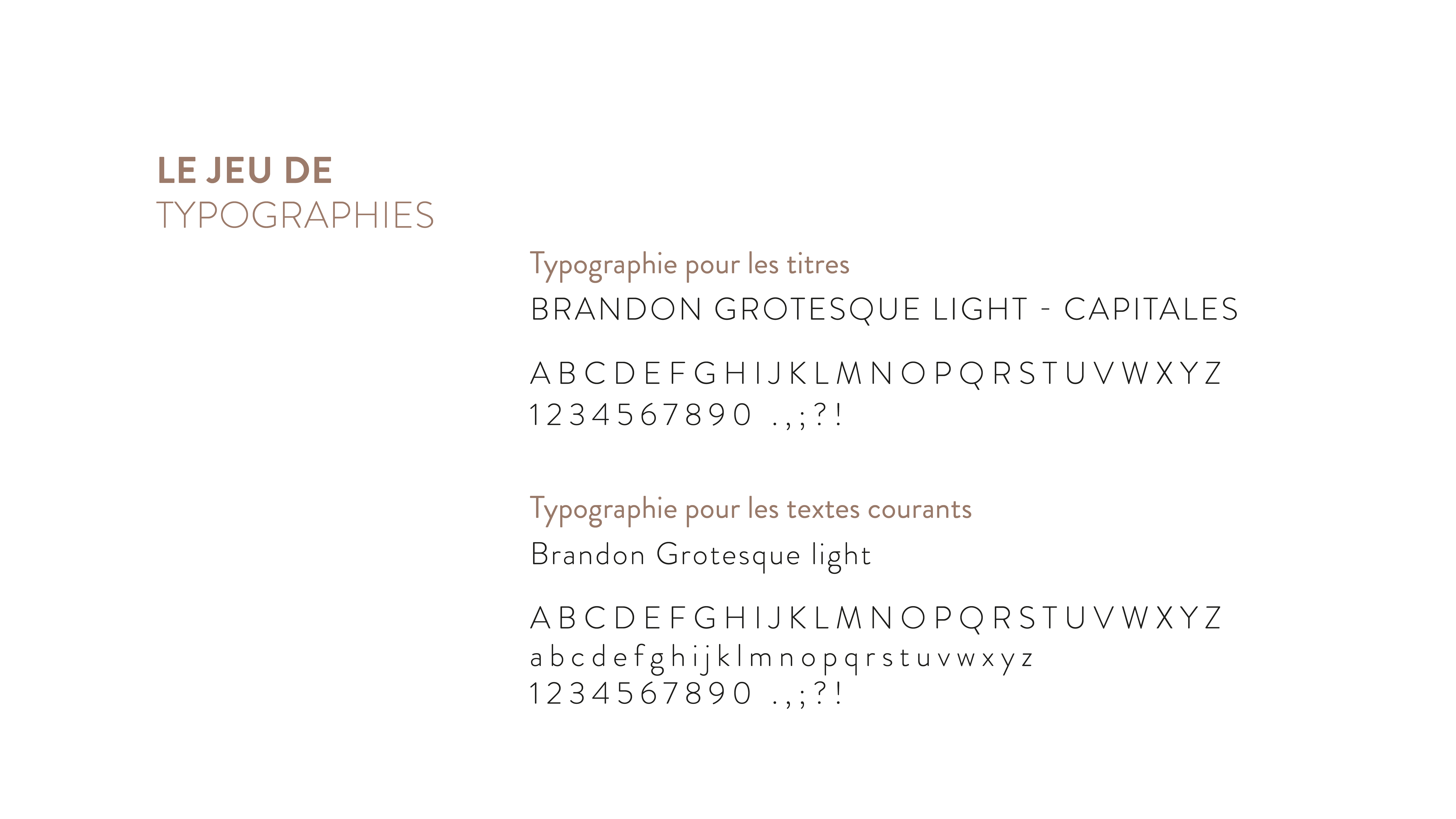 Amandine Delion - Création de logotype, charte graphique et cartes de visite